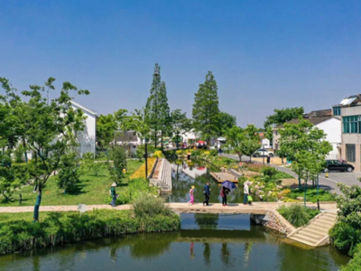 西鲁村美丽乡村项目-小微水体整治、村委旁活动广场