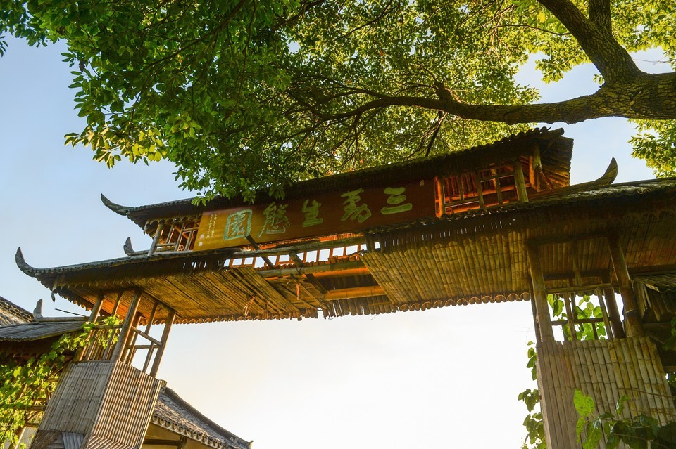 三勤生态园提升改造工程项目