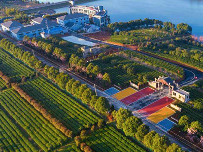 江苏现代农业产业示范园区优质稻米区项目